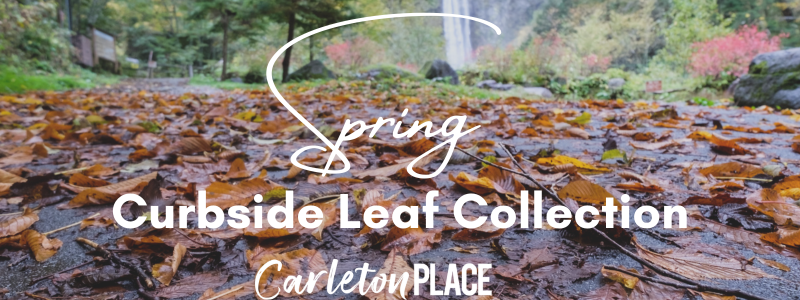 Spring Curbside Leaf Collection Image