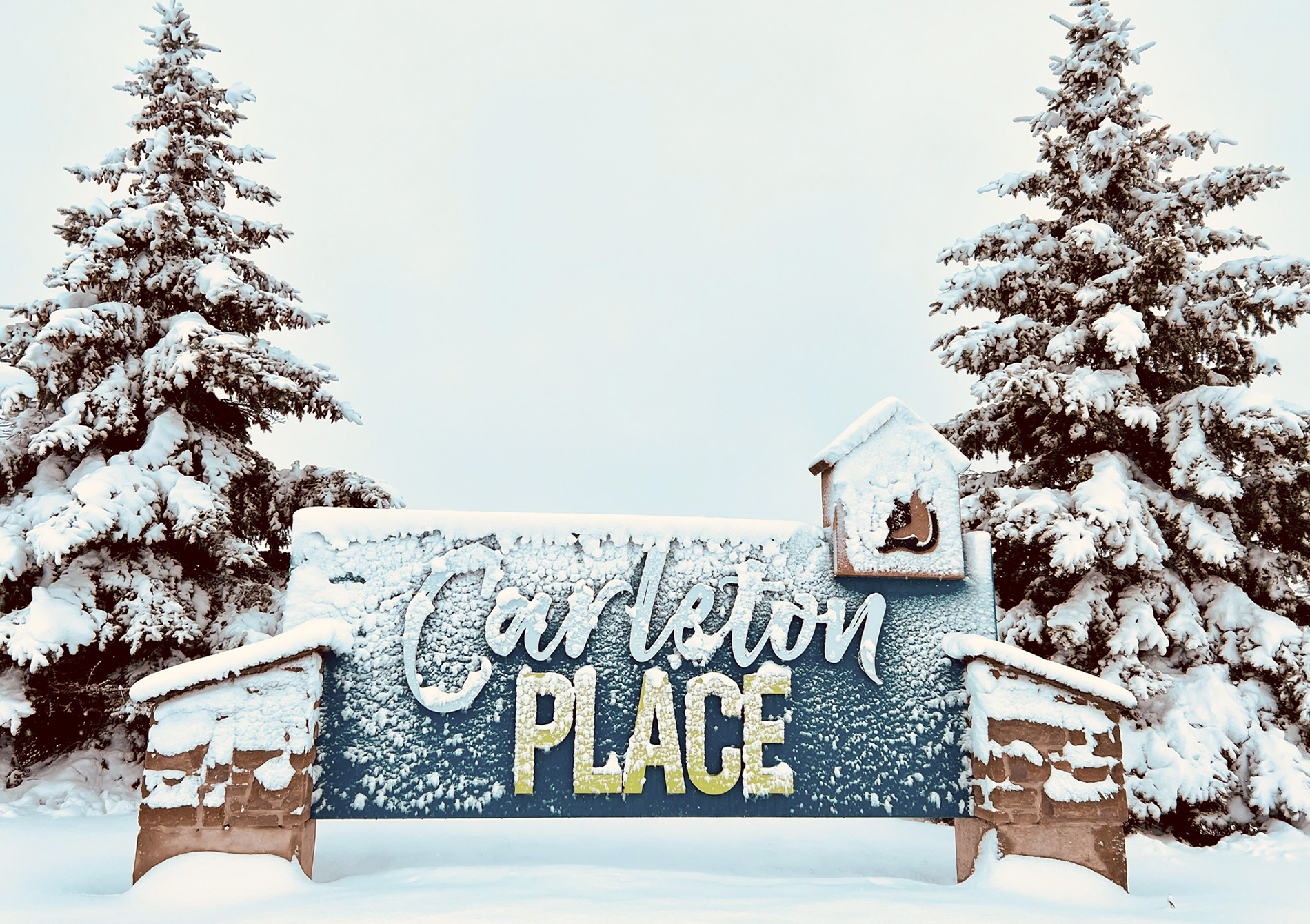 Image of the Carleton Place Entrance sign covered with snow with trees on either side