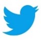 Twitter Icon - Blue Bird