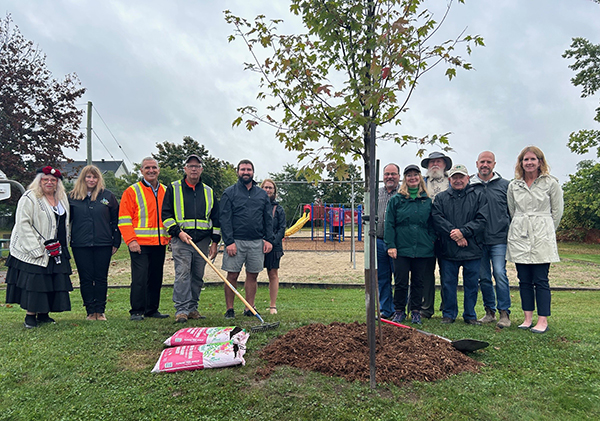 image of a group of people posing around a newly planted tree